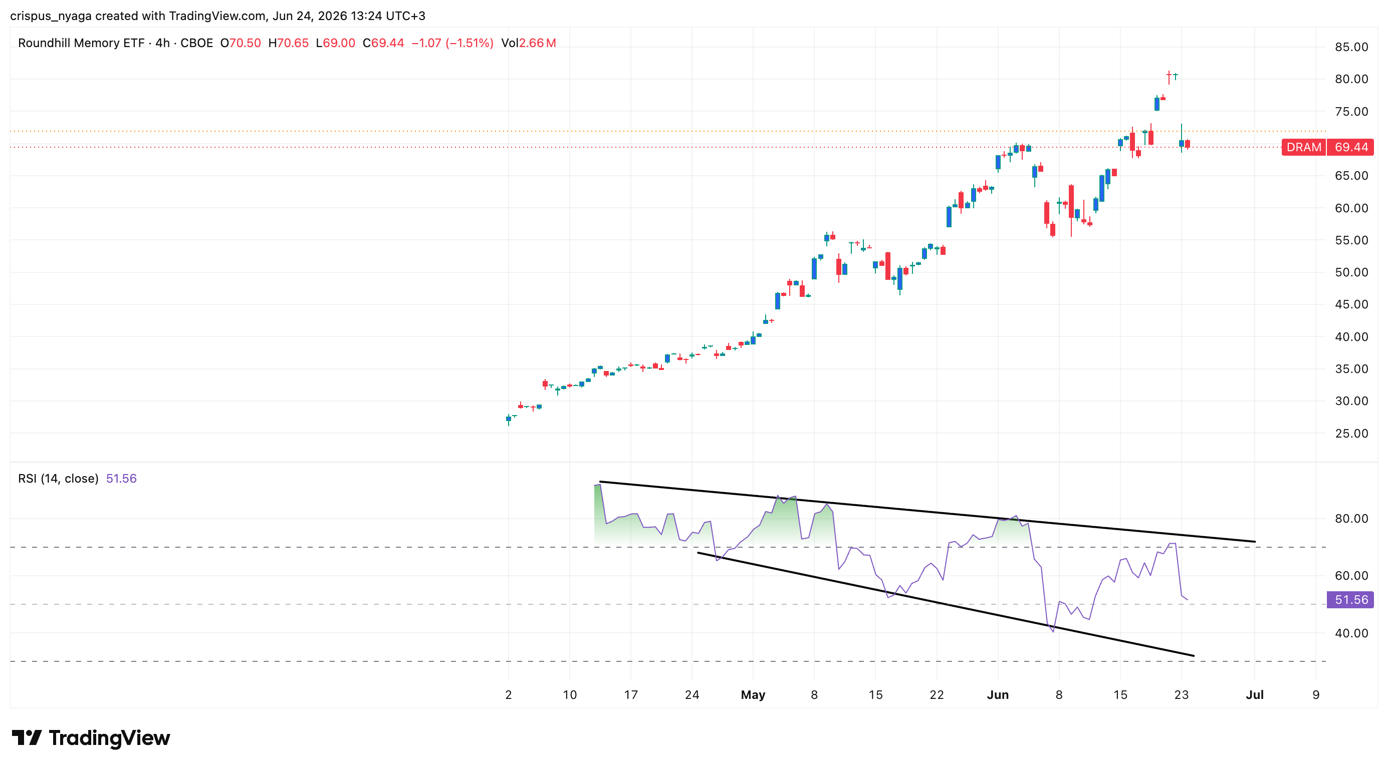 DRAM ETF stock